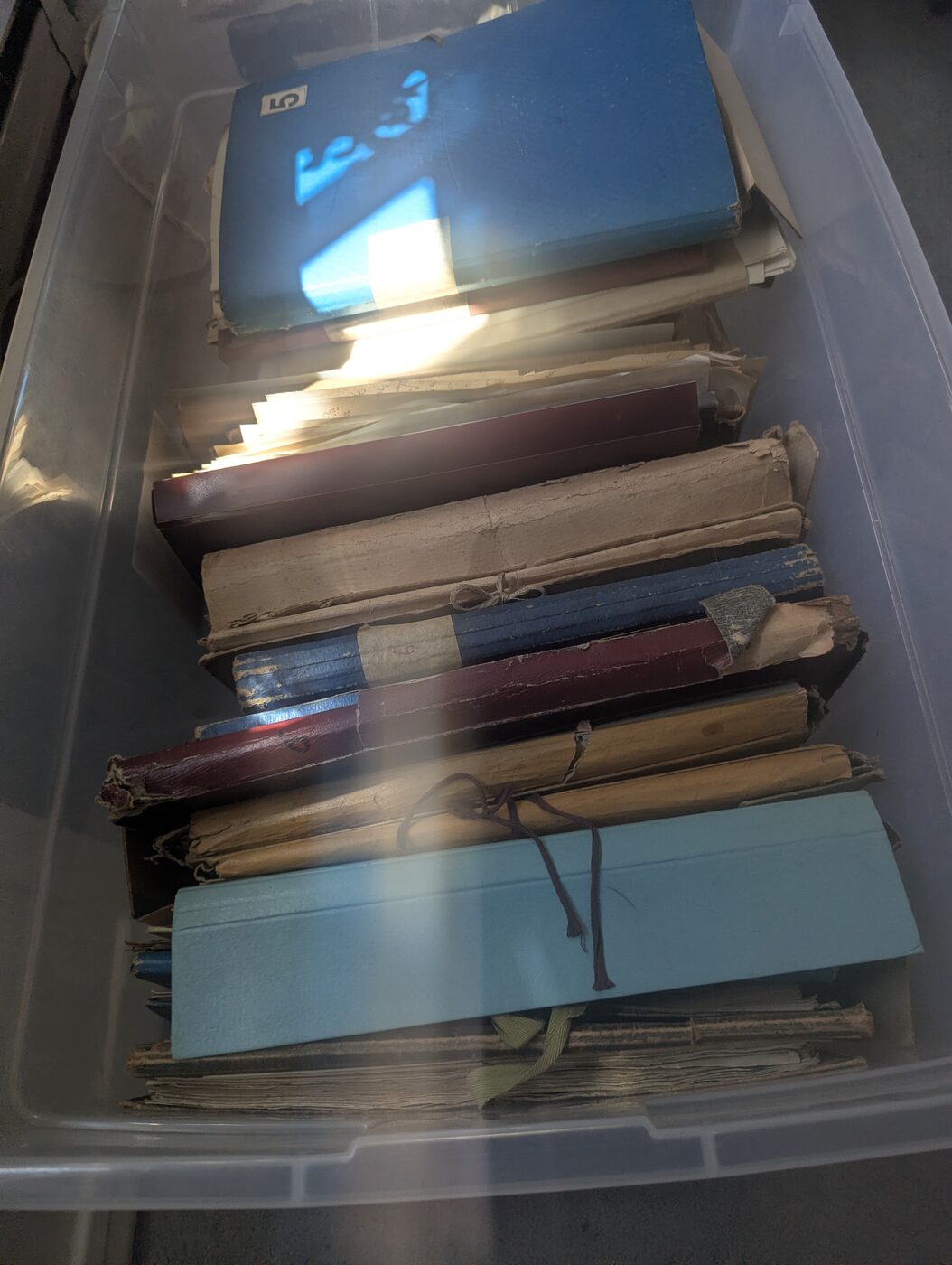 One storage tote containing a portion of the bound research binders — hand-labeled spines, string ties, and decades of handling are visible. This is a fraction of the total 30+ binders in the collection.